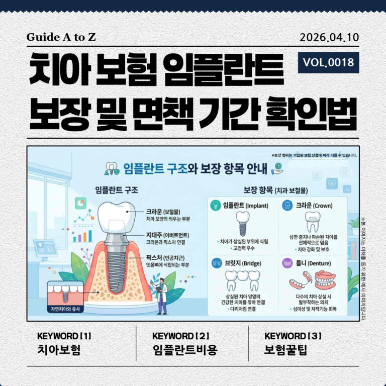 치아 보험 임플란트 구조와 보장 항목 안내 인포그래픽 이미지
